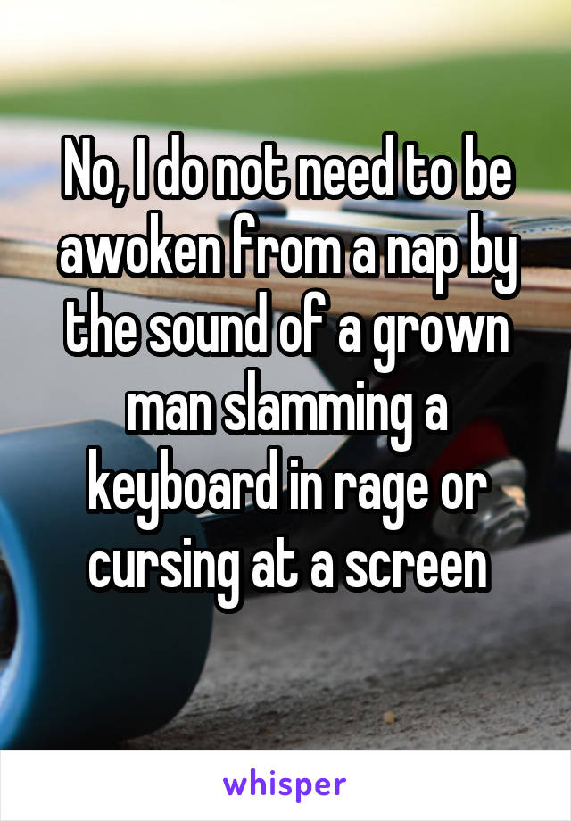 No, I do not need to be awoken from a nap by the sound of a grown man slamming a keyboard in rage or cursing at a screen
