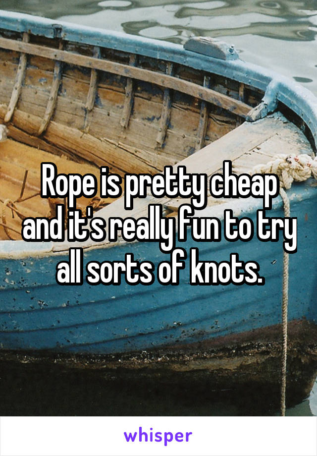 Rope is pretty cheap and it's really fun to try all sorts of knots.