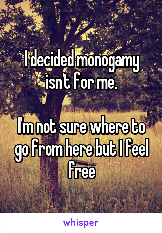 I decided monogamy isn't for me.

I'm not sure where to go from here but I feel free