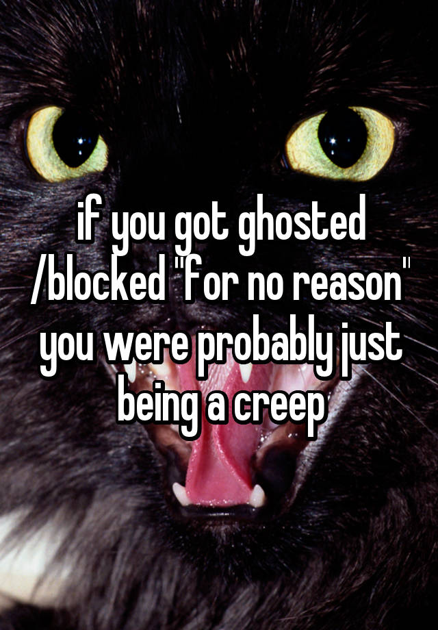 if you got ghosted /blocked "for no reason" you were probably just being a creep