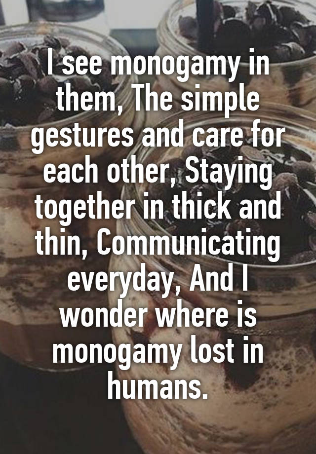 I see monogamy in them, The simple gestures and care for each other, Staying together in thick and thin, Communicating everyday, And I wonder where is monogamy lost in humans.