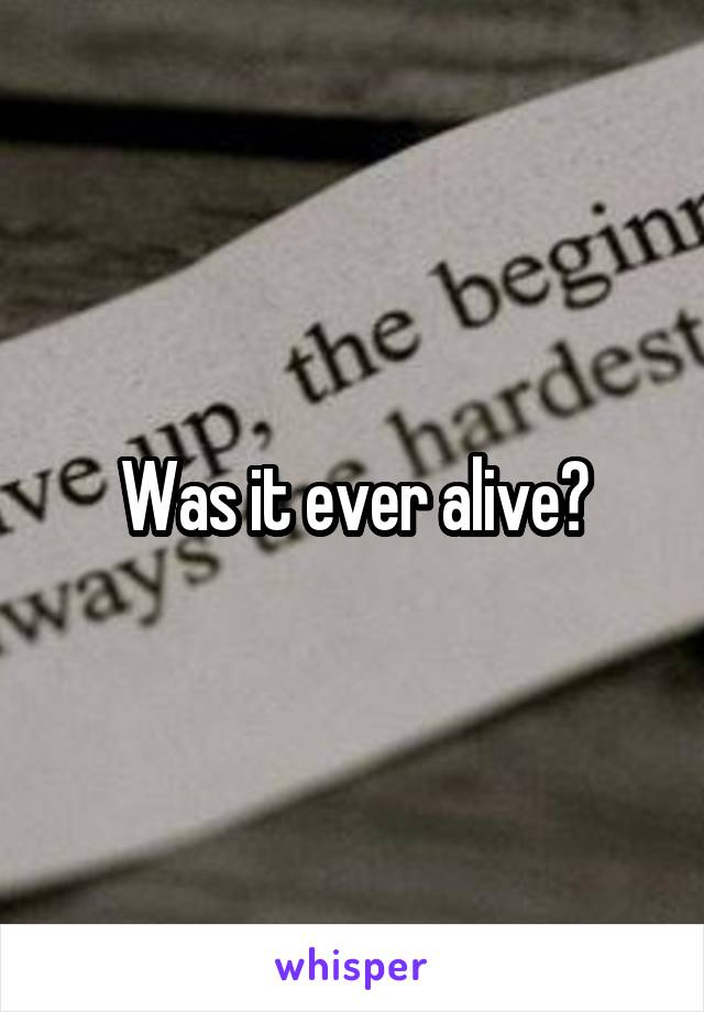 Was it ever alive?