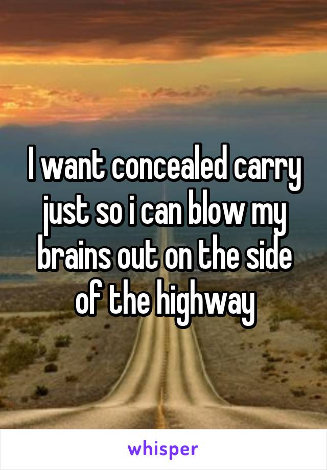 I want concealed carry just so i can blow my brains out on the side of the highway