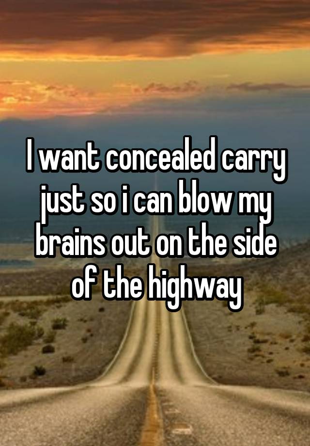 I want concealed carry just so i can blow my brains out on the side of the highway