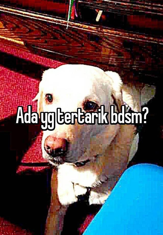 Ada yg tertarik bdsm?