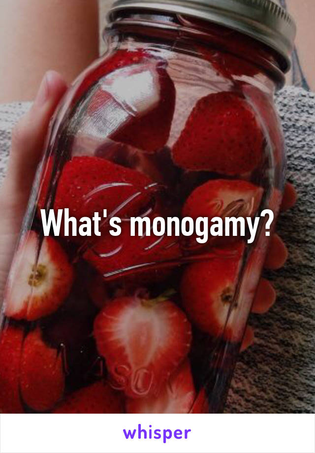 What's monogamy?