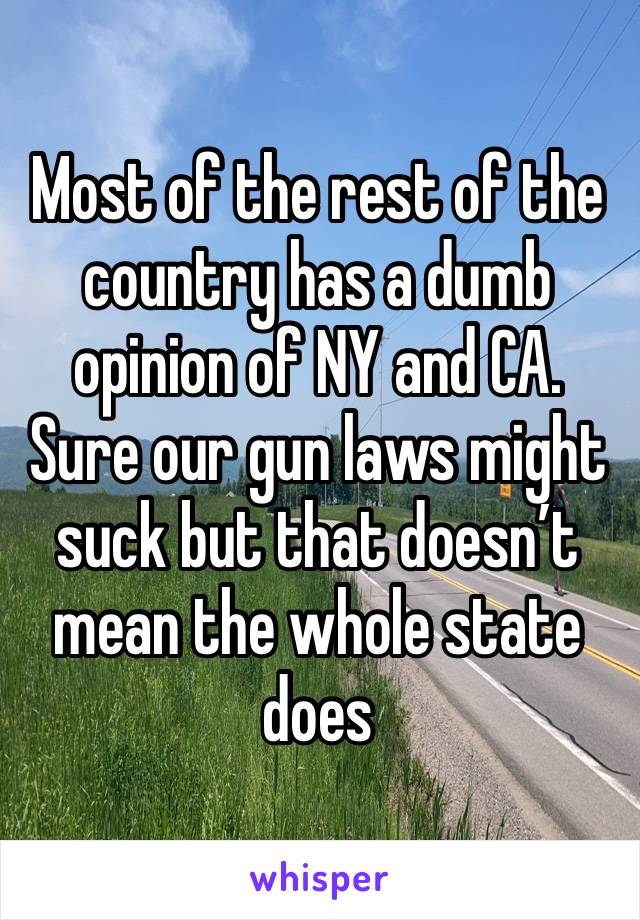 Most of the rest of the country has a dumb opinion of NY and CA. Sure our gun laws might suck but that doesn’t mean the whole state does 