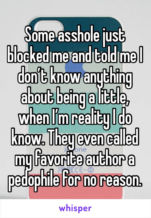 Some asshole just blocked me and told me I don’t know anything about being a little, when I’m reality I do know. They even called my favorite author a pedophile for no reason. 