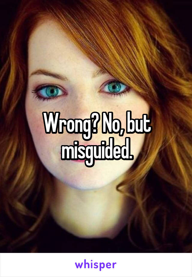 Wrong? No, but misguided.