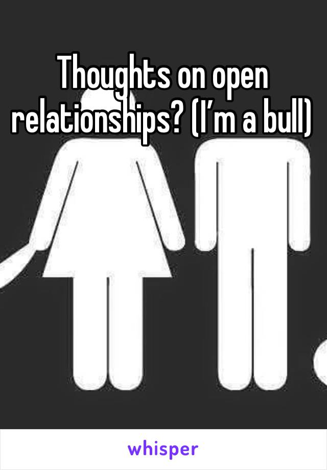 Thoughts on open relationships? (I’m a bull)