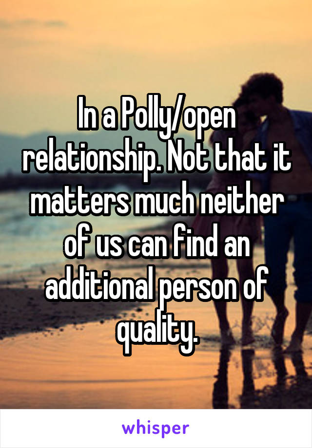 In a Polly/open relationship. Not that it matters much neither of us can find an additional person of quality.