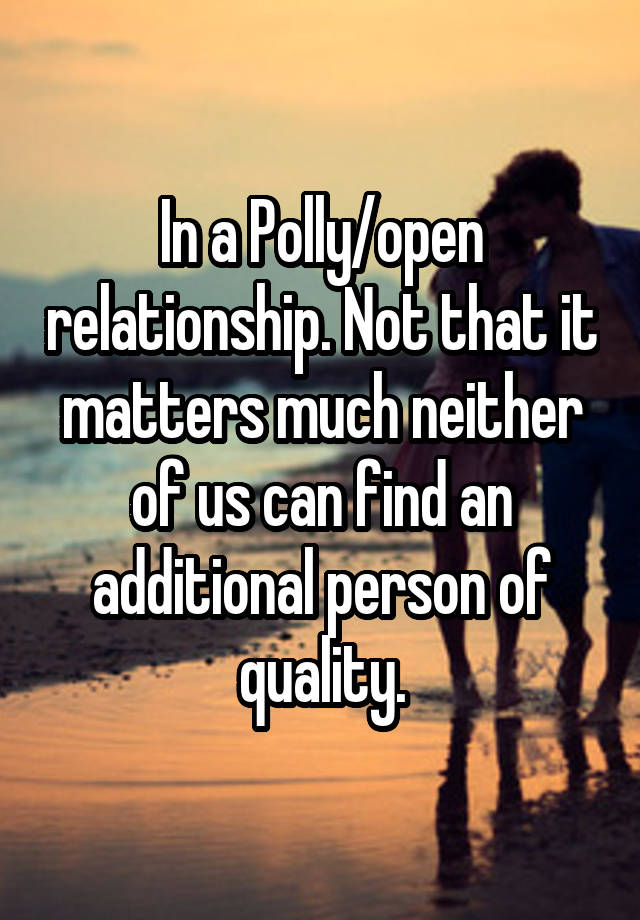 In a Polly/open relationship. Not that it matters much neither of us can find an additional person of quality.