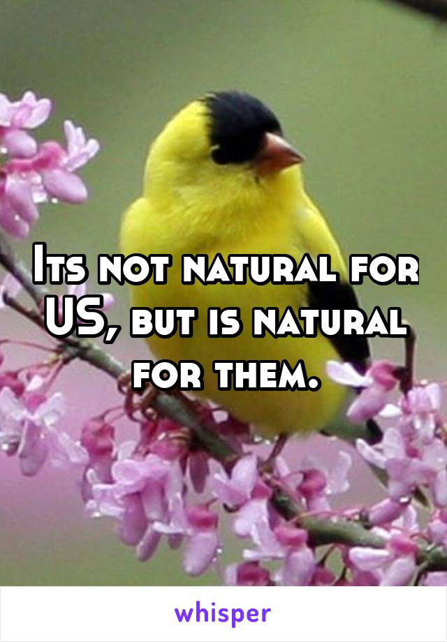 Its not natural for US, but is natural for them.