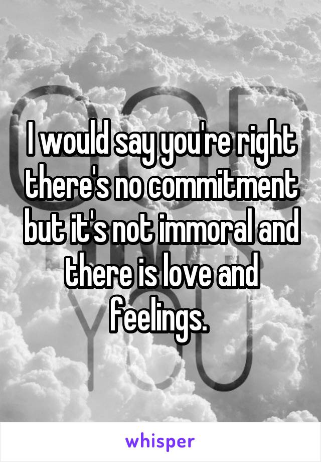 I would say you're right there's no commitment but it's not immoral and there is love and feelings. 