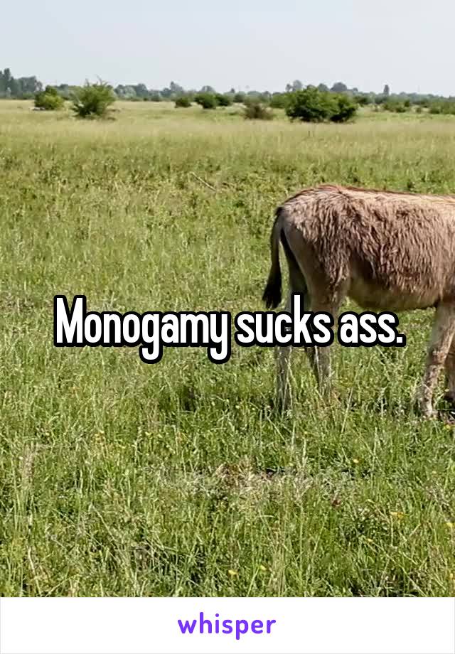 Monogamy sucks ass.