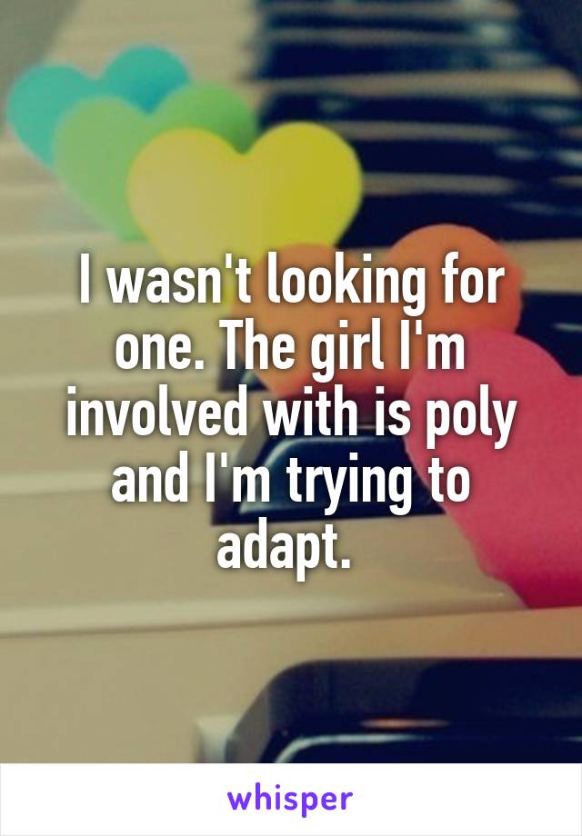 I wasn't looking for one. The girl I'm involved with is poly and I'm trying to adapt. 