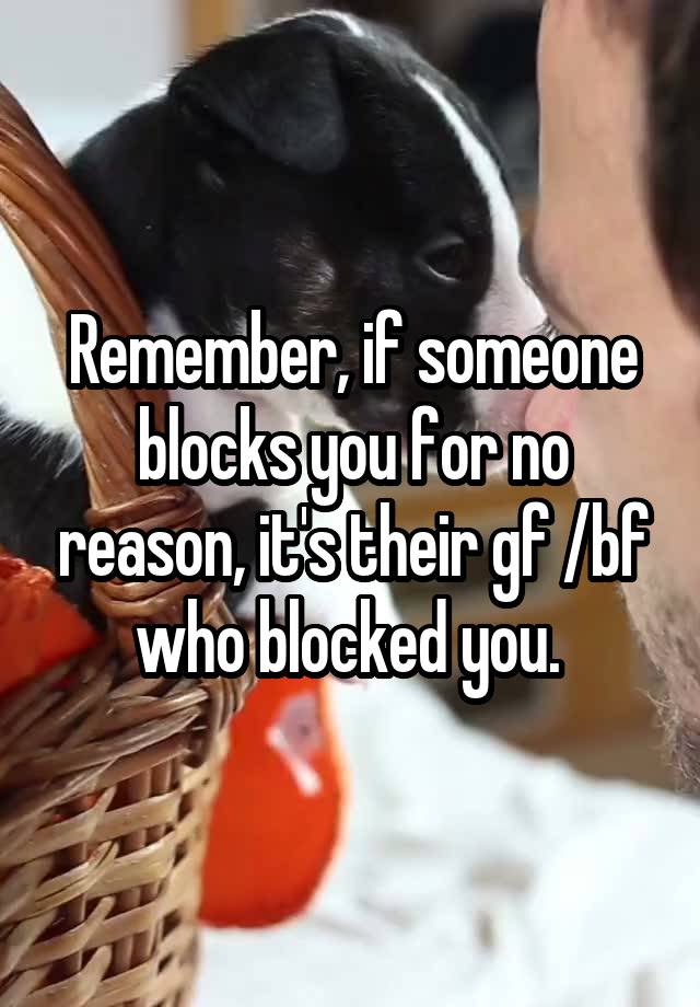 Remember, if someone blocks you for no reason, it's their gf /bf who blocked you. 