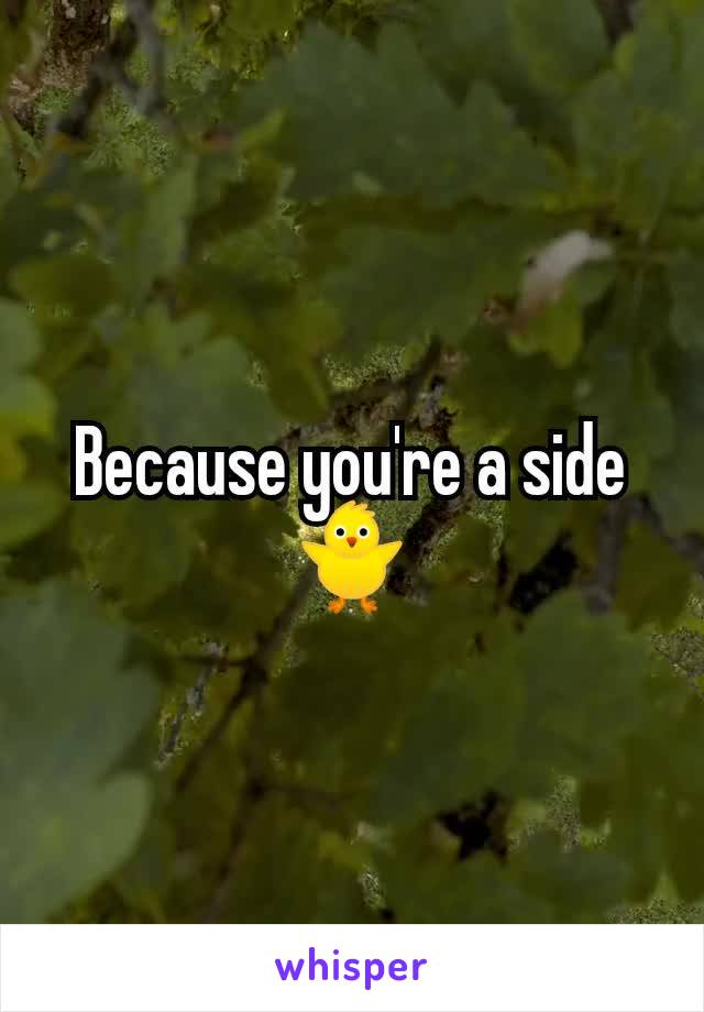 Because you're a side 🐥