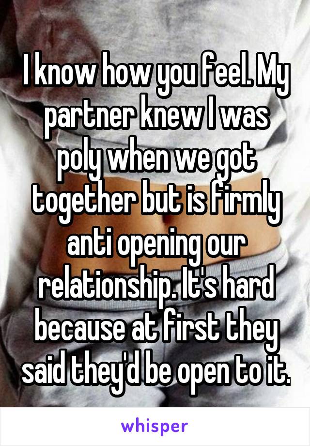 I know how you feel. My partner knew I was poly when we got together but is firmly anti opening our relationship. It's hard because at first they said they'd be open to it.