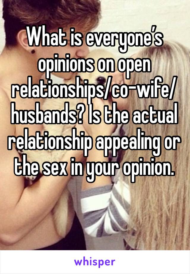 What is everyone’s opinions on open relationships/co-wife/husbands? Is the actual relationship appealing or the sex in your opinion. 