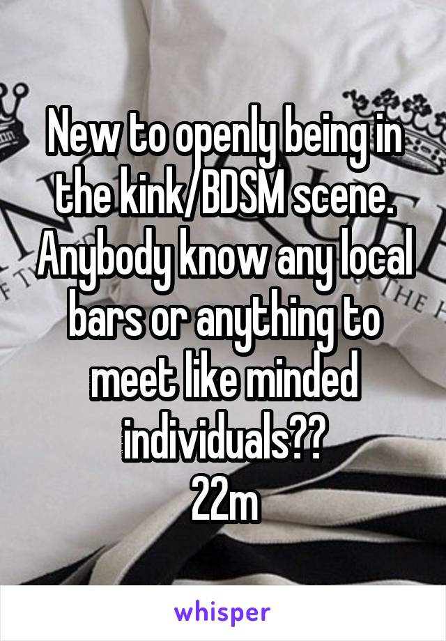  New to openly being in the kink/BDSM scene. Anybody know any local bars or anything to meet like minded individuals??
22m