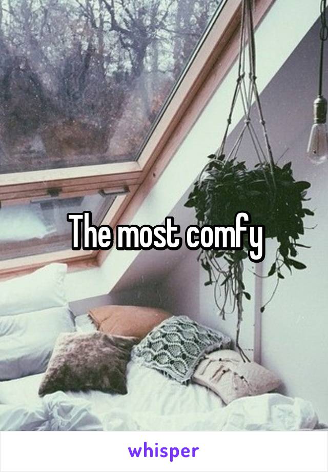 The most comfy