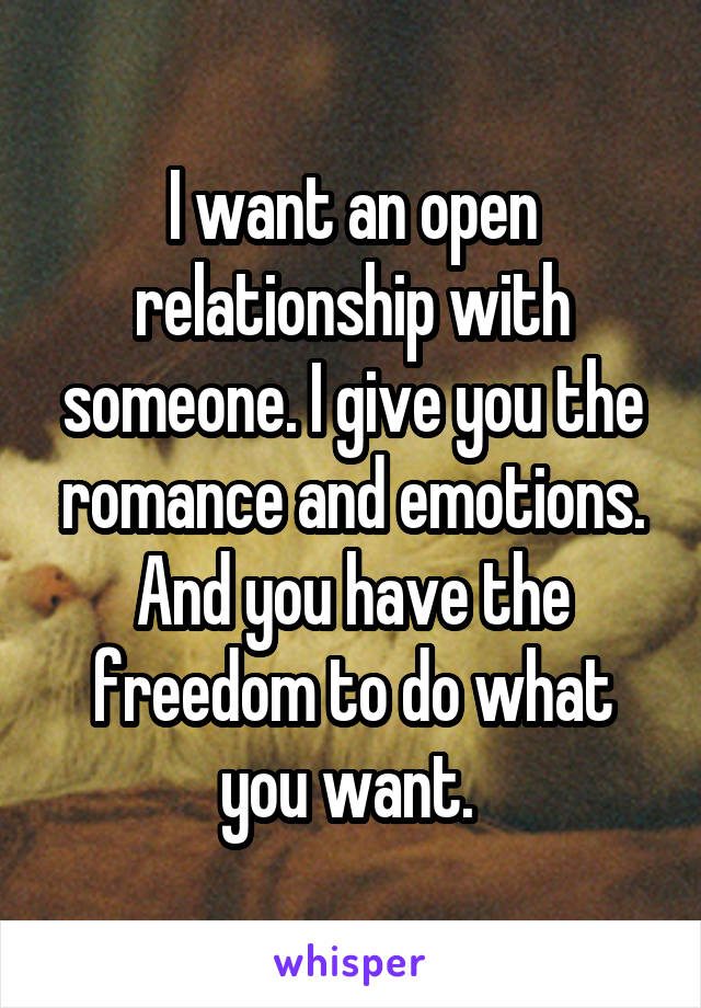 I want an open relationship with someone. I give you the romance and emotions. And you have the freedom to do what you want. 