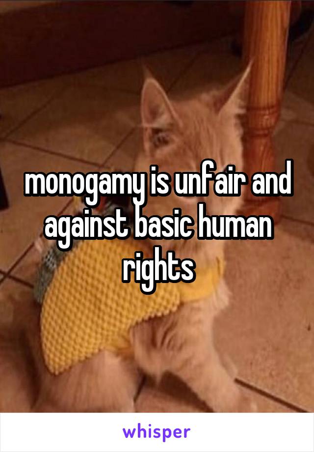 monogamy is unfair and against basic human rights