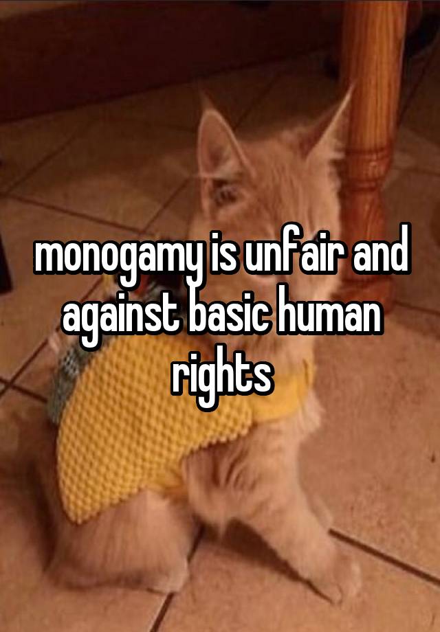 monogamy is unfair and against basic human rights