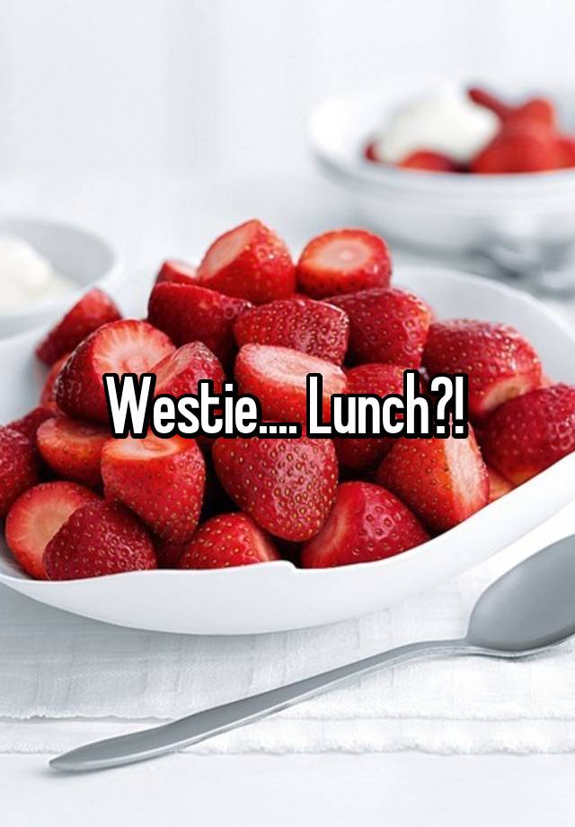 Westie.... Lunch?! 