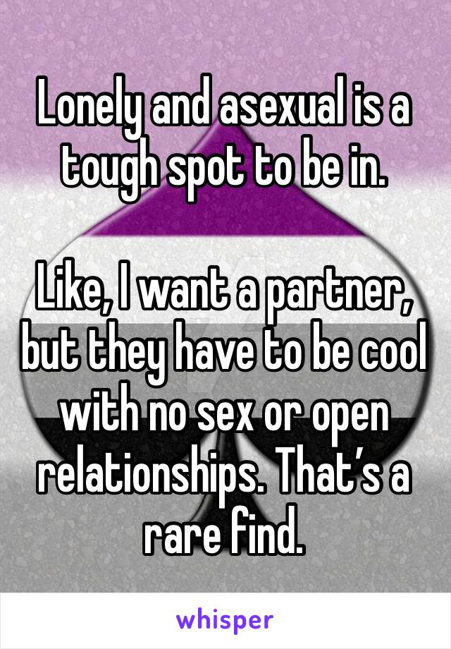 Lonely and asexual is a tough spot to be in. 

Like, I want a partner, but they have to be cool with no sex or open relationships. That’s a rare find. 