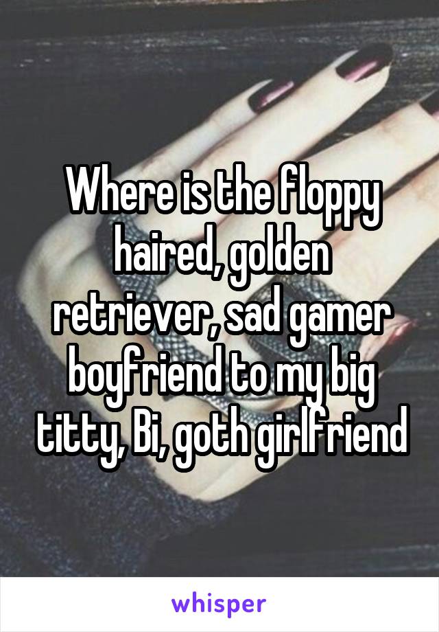 Where is the floppy haired, golden retriever, sad gamer boyfriend to my big titty, Bi, goth girlfriend