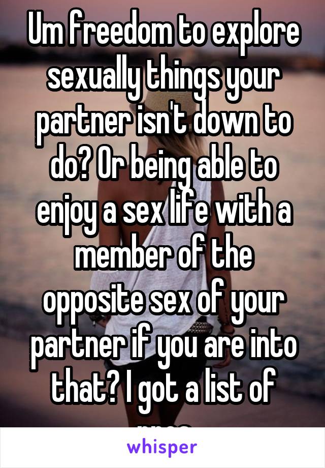 Um freedom to explore sexually things your partner isn't down to do? Or being able to enjoy a sex life with a member of the opposite sex of your partner if you are into that? I got a list of pros