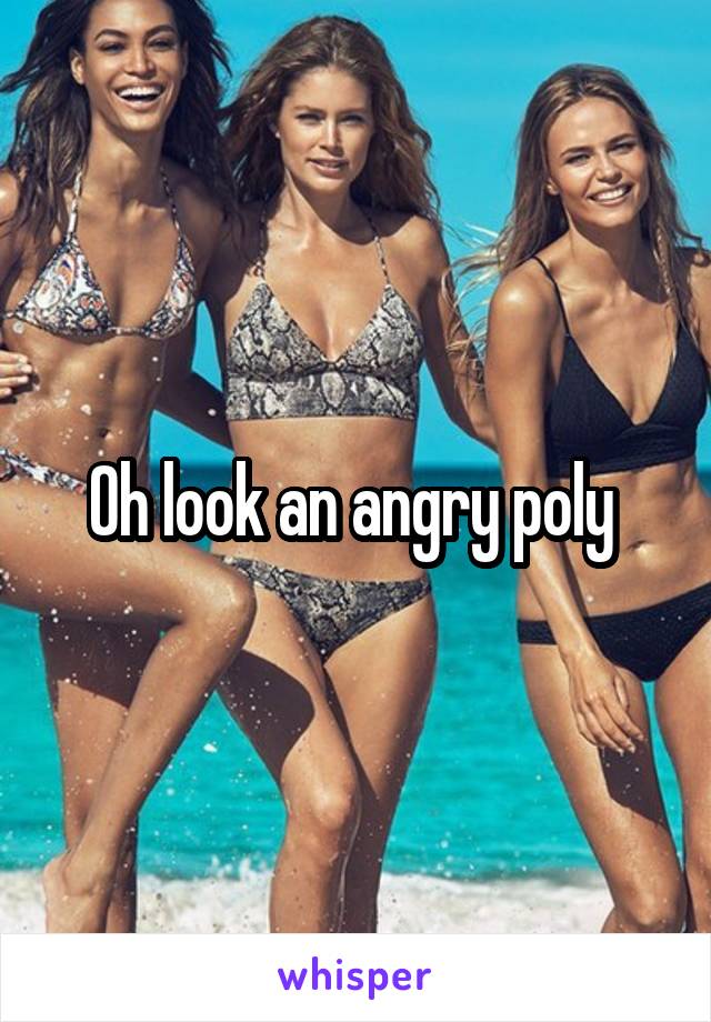 Oh look an angry poly 