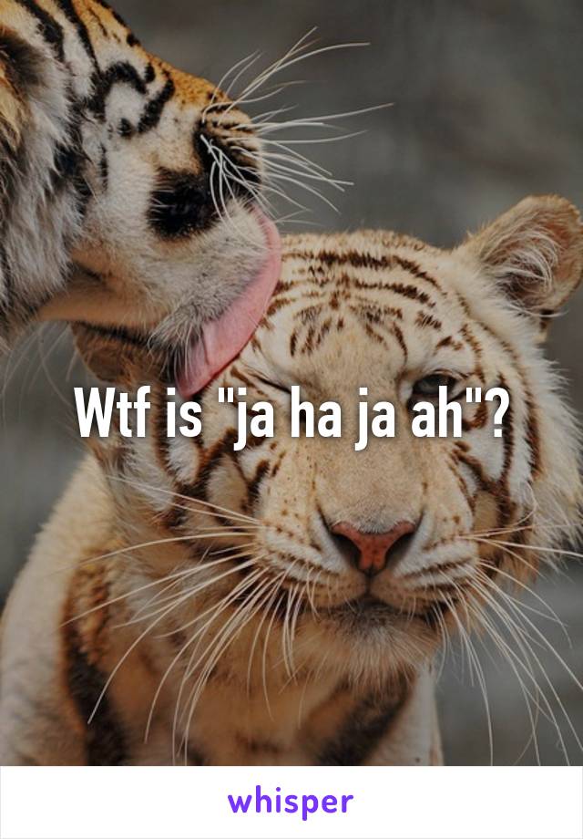 Wtf is "ja ha ja ah"?