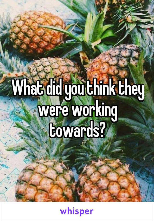 What did you think they were working towards?