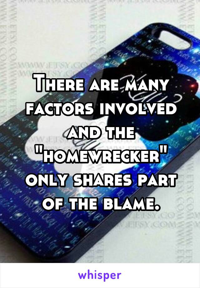 There are many factors involved and the "homewrecker" only shares part of the blame.