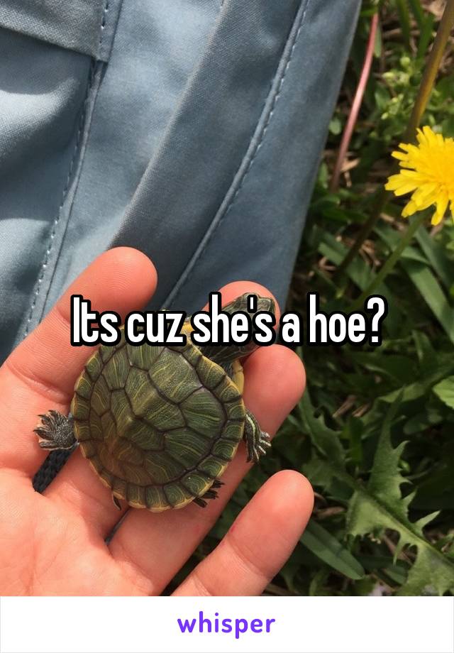 Its cuz she's a hoe?