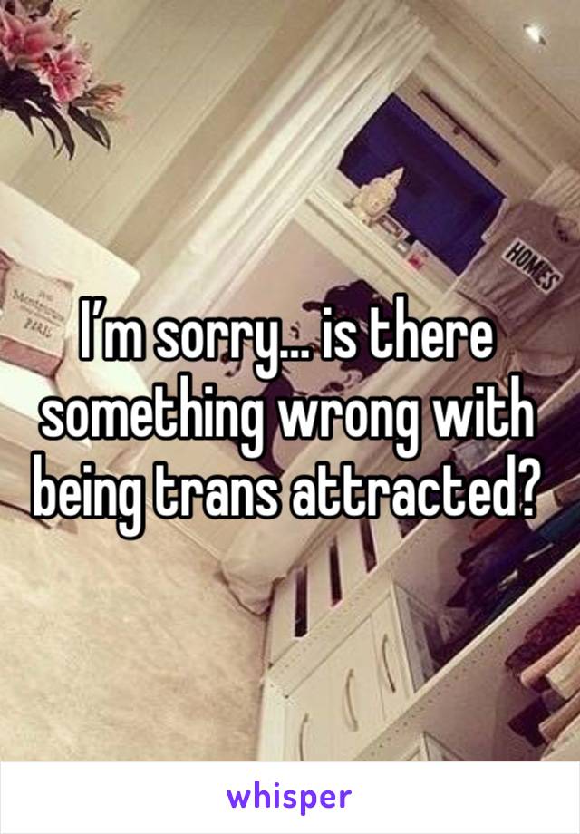 I’m sorry… is there something wrong with being trans attracted?