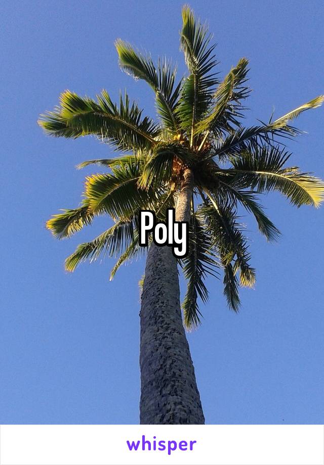 Poly