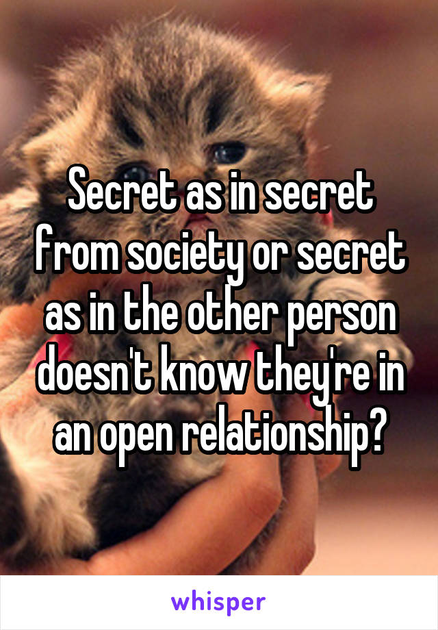 Secret as in secret from society or secret as in the other person doesn't know they're in an open relationship?