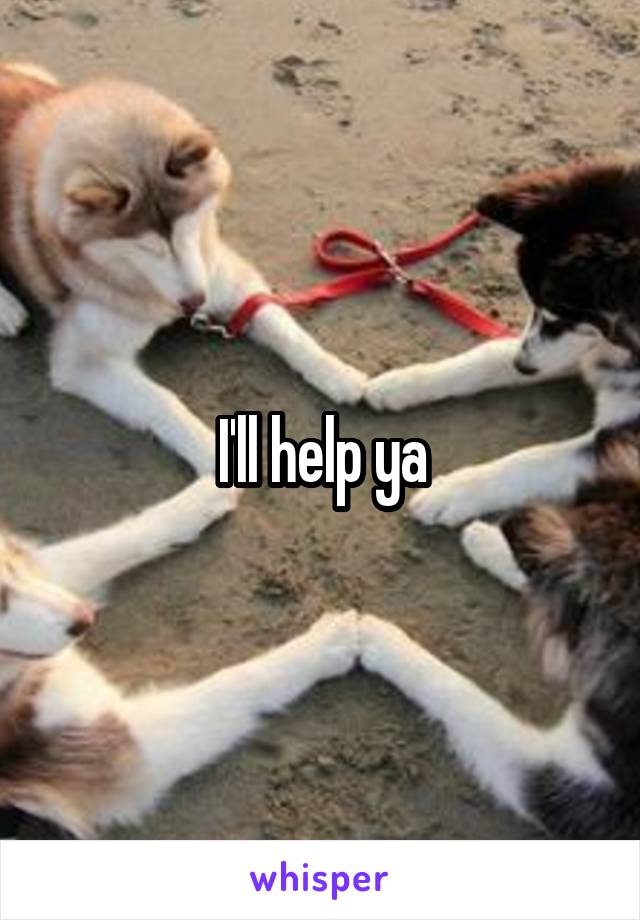 I'll help ya