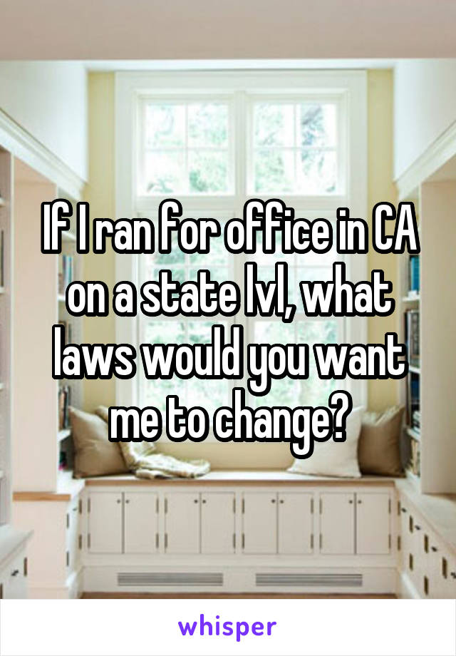 If I ran for office in CA on a state lvl, what laws would you want me to change?