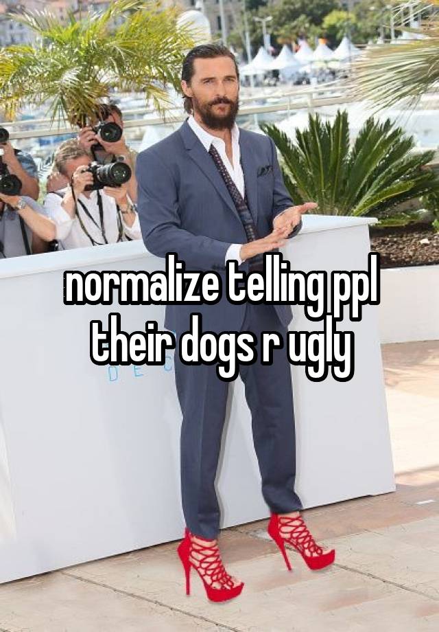 normalize telling ppl their dogs r ugly