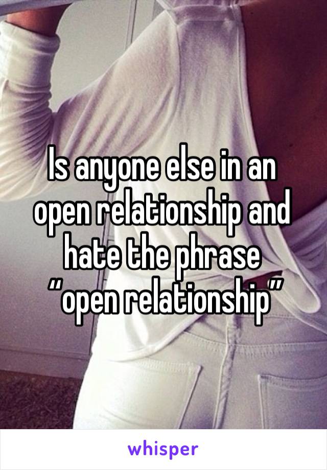 Is anyone else in an 
open relationship and hate the phrase
 “open relationship”