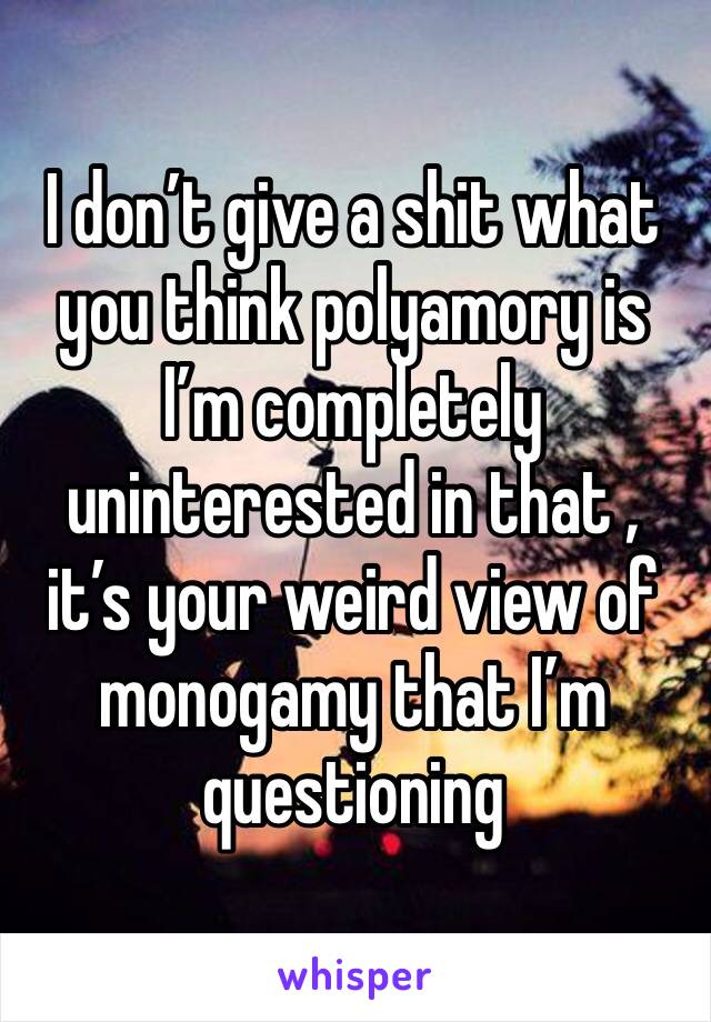 I don’t give a shit what you think polyamory is 
I’m completely uninterested in that , it’s your weird view of monogamy that I’m questioning 