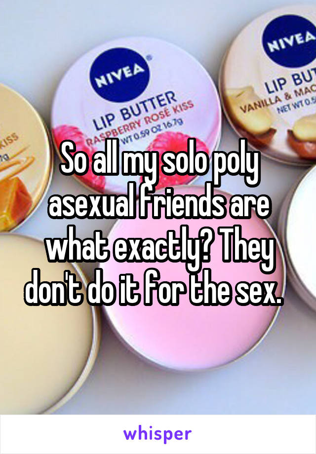 So all my solo poly asexual friends are what exactly? They don't do it for the sex.  