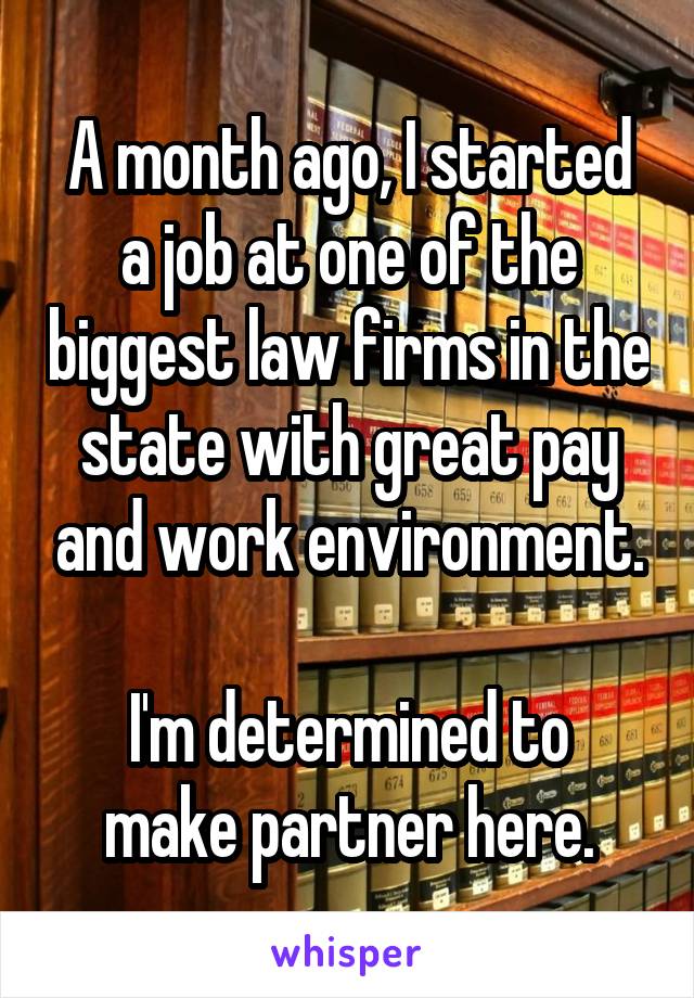 A month ago, I started a job at one of the biggest law firms in the state with great pay and work environment.

I'm determined to make partner here.