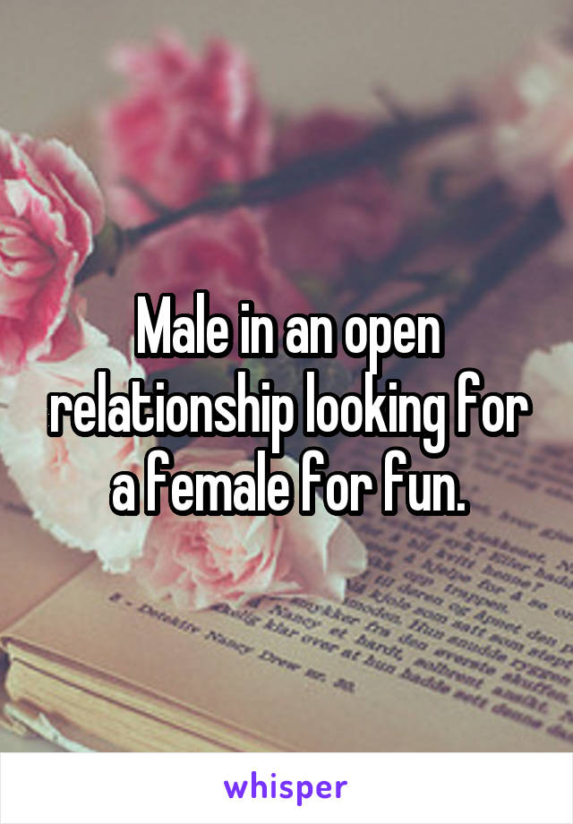 Male in an open relationship looking for a female for fun.