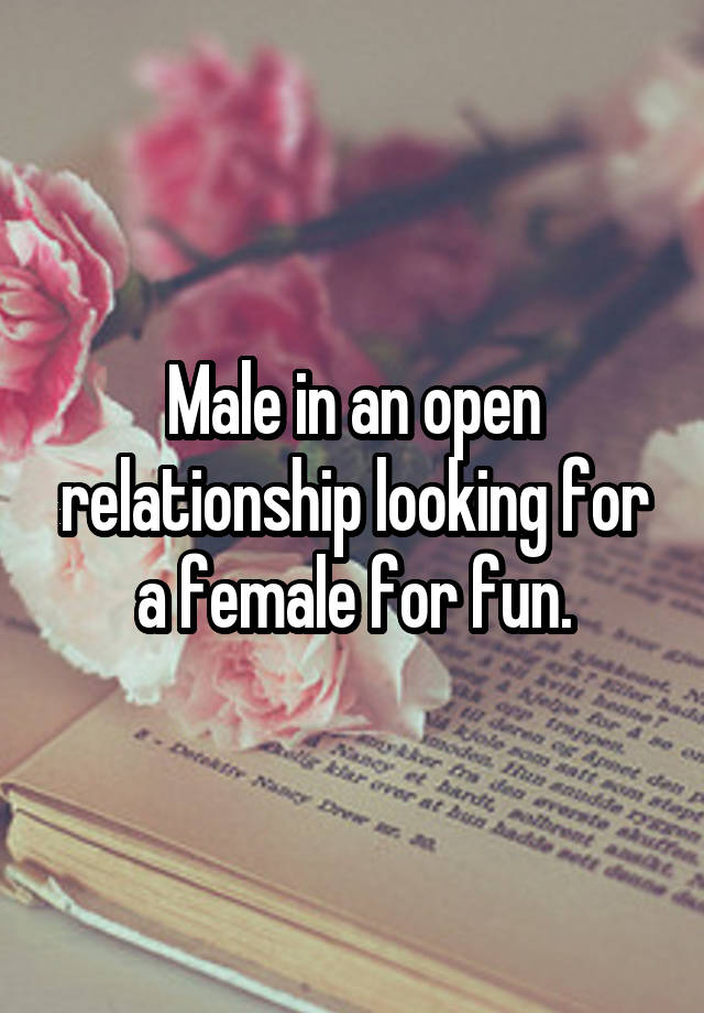 Male in an open relationship looking for a female for fun.